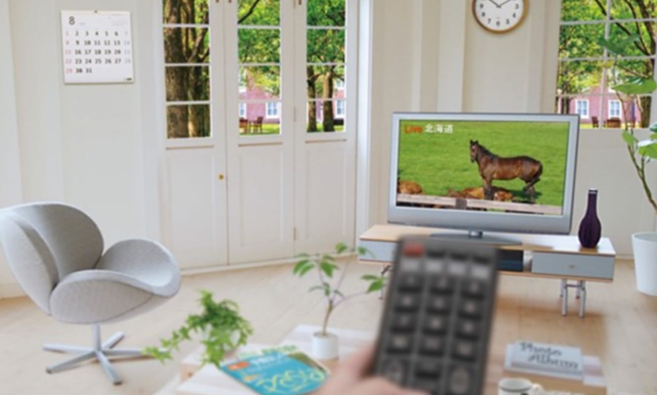 奥にあるテレビにはピントが合うが、手元のリモコンにはピントが合わない様子。